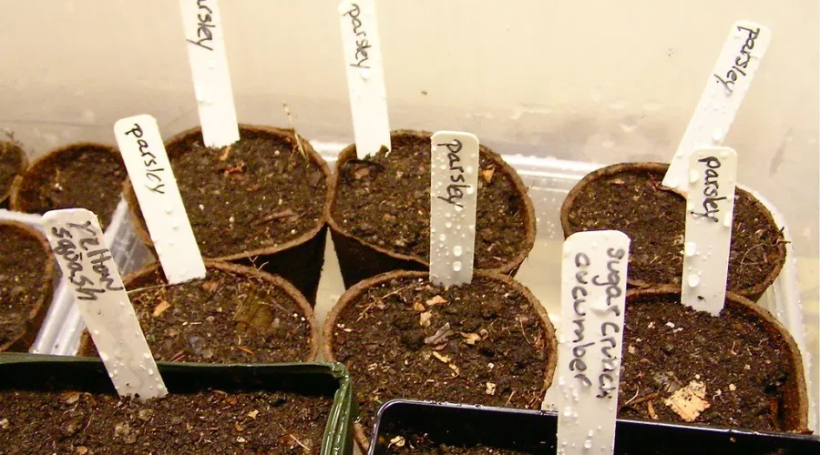 Gardeners Can Now Speed Up Mother Nature With A Kitchen Device