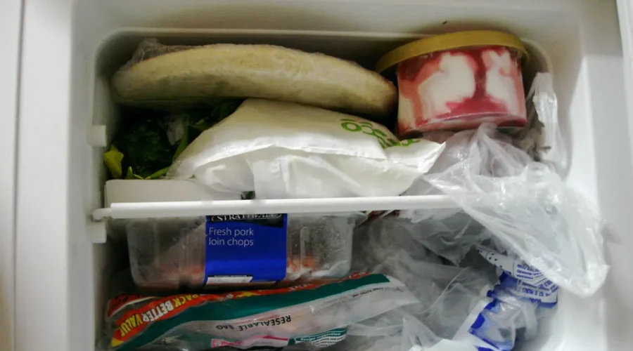 Keeping Track Of That Frosty Wonderland, The FREEZER