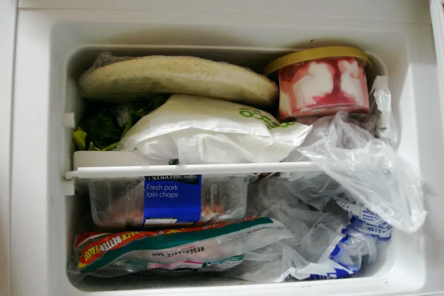 Keeping Track Of That Frosty Wonderland, The FREEZER