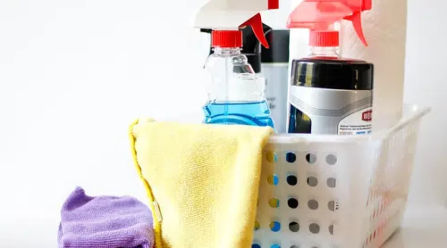 Stop Putting Dish Soap In Nova Scotia’s Waterways