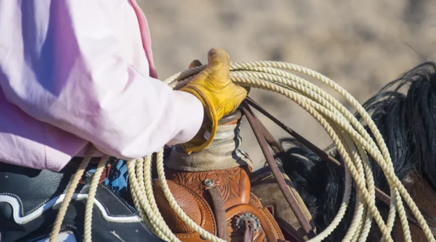 The Nova Scotia Stampede Returns, with some great Entertainment!!