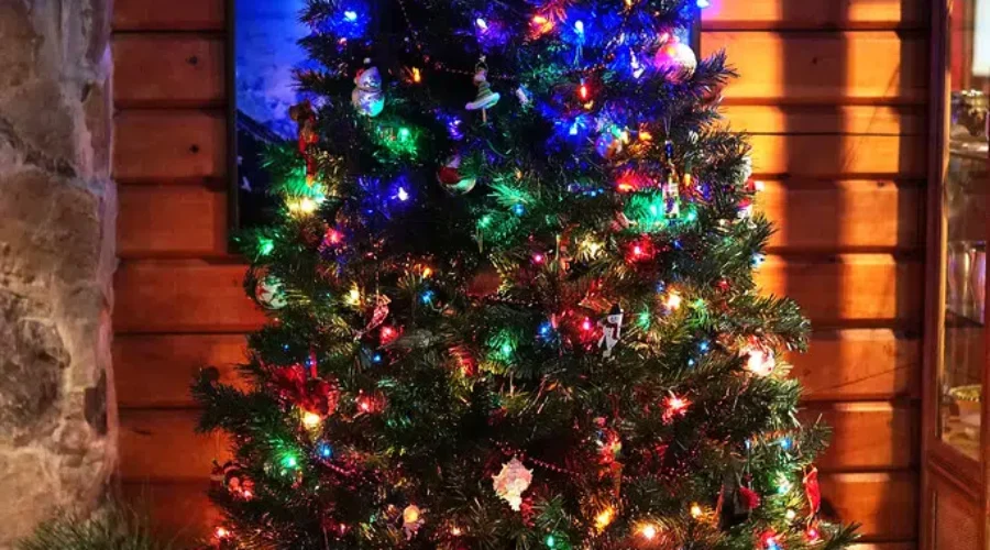 Want The PERFECT Christmas Tree This Year? Here Is The Formula!