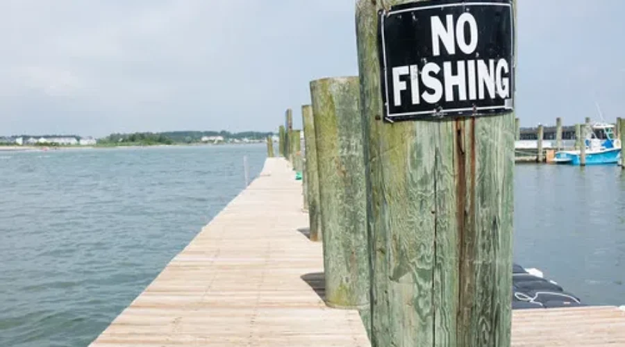 Fishy Fishy In The Brook, You Won’t Find My Hook YET!