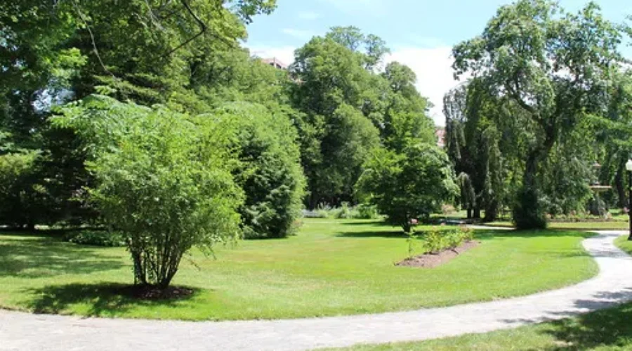 PARKS – Important OR An Unnecessary Cost?