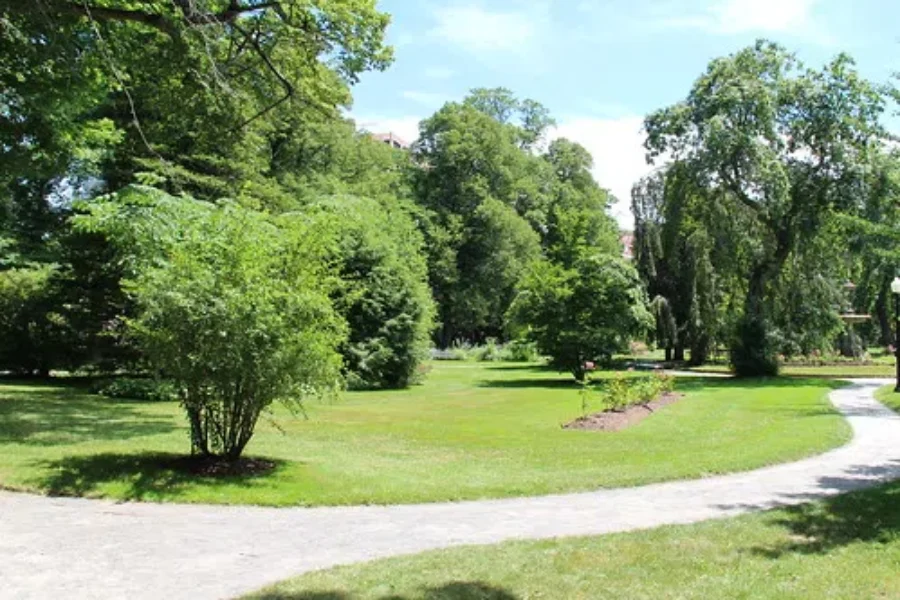 PARKS – Important OR An Unnecessary Cost?