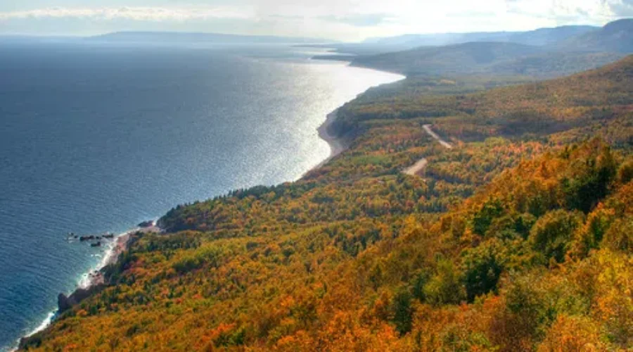 Enjoy The Autumn Colours Before The Leaves Fall