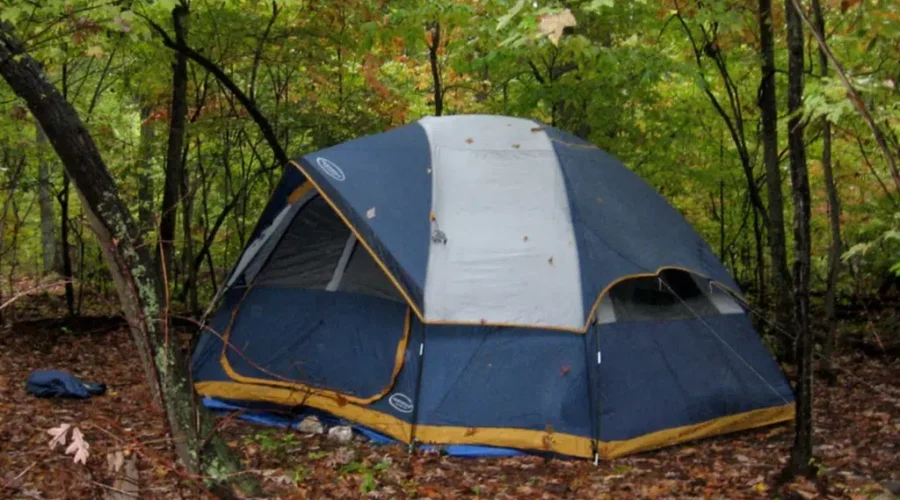 Get Ready! Here’s When You Can Start Booking NS Campsites For The 2021 Season