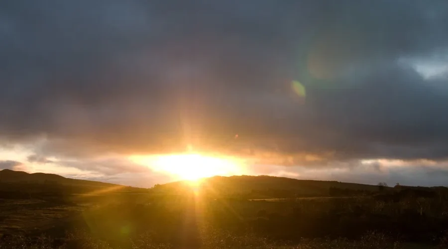 What Will Post COVID Look Like??