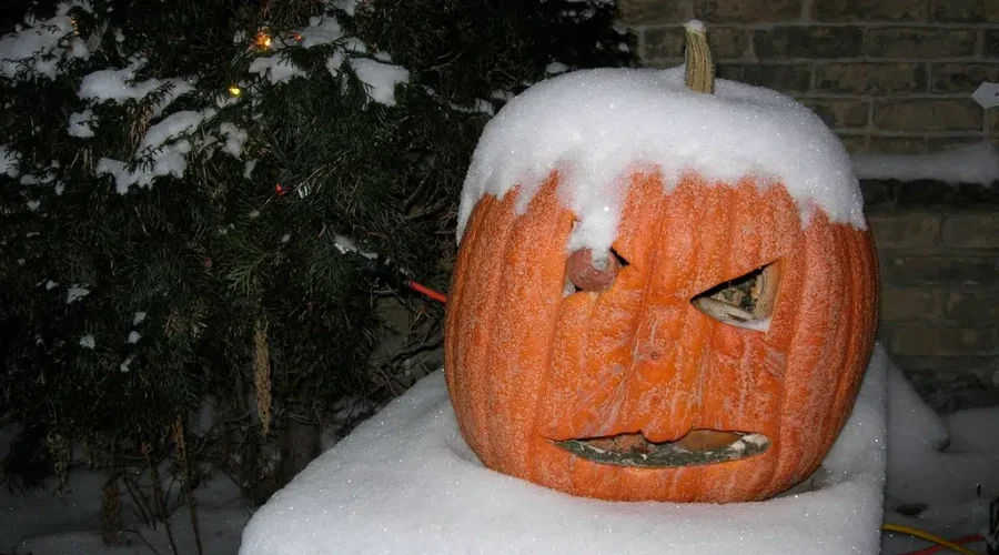 August Tells Us Snow Is Coming… AND Pumpkin Spice Is Here!