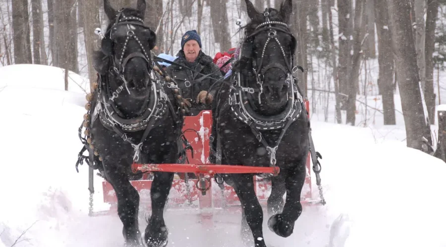 Looking Back At Heritage Day 2024