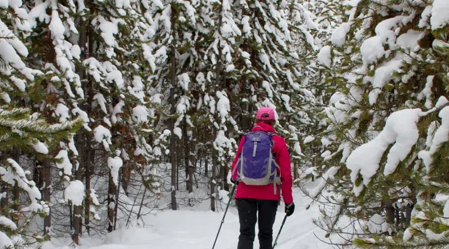 Planning Winter Activities? Avoid The Three Cs (Closed, Close and Crowds)