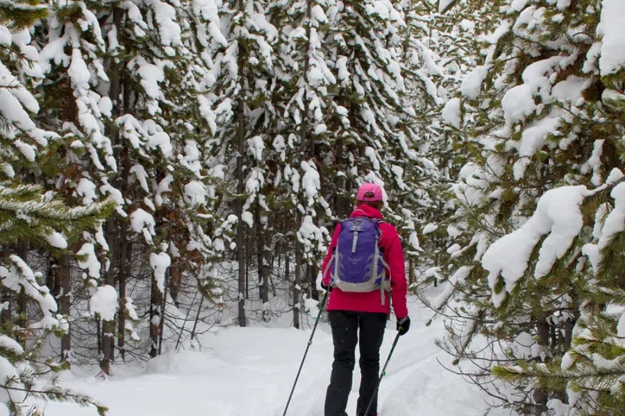Planning Winter Activities? Avoid The Three Cs (Closed, Close and Crowds)