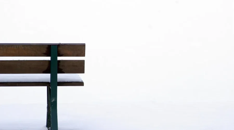 The “Christmas on the LaHave – Jack Frost Scavenger Hunt!” Here’s All The Details!!!