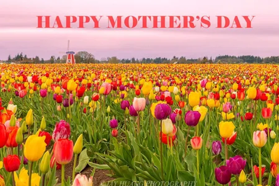 Lockdown Mother’s Day!! Here’s Some Great Gift Ideas If You Can’t See Your Mom Sunday!