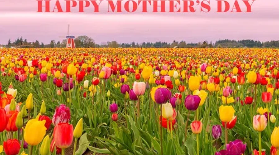 How Can We Celebrate Mom’s Big Day In 2020?