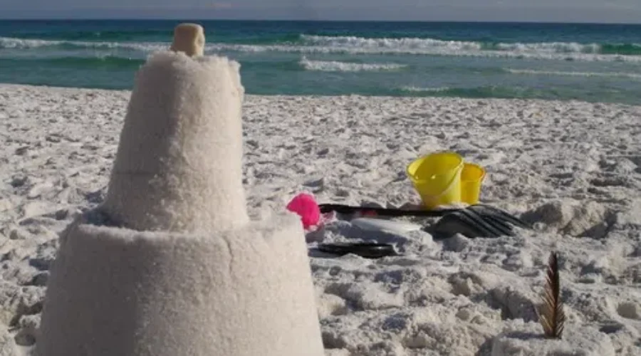 Here Is Your Chance To Create With A World Champion