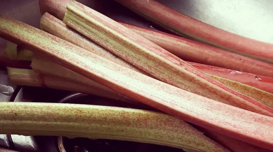 My Salute To The Fruit That Is Actually A Vegetable – Rhubarb