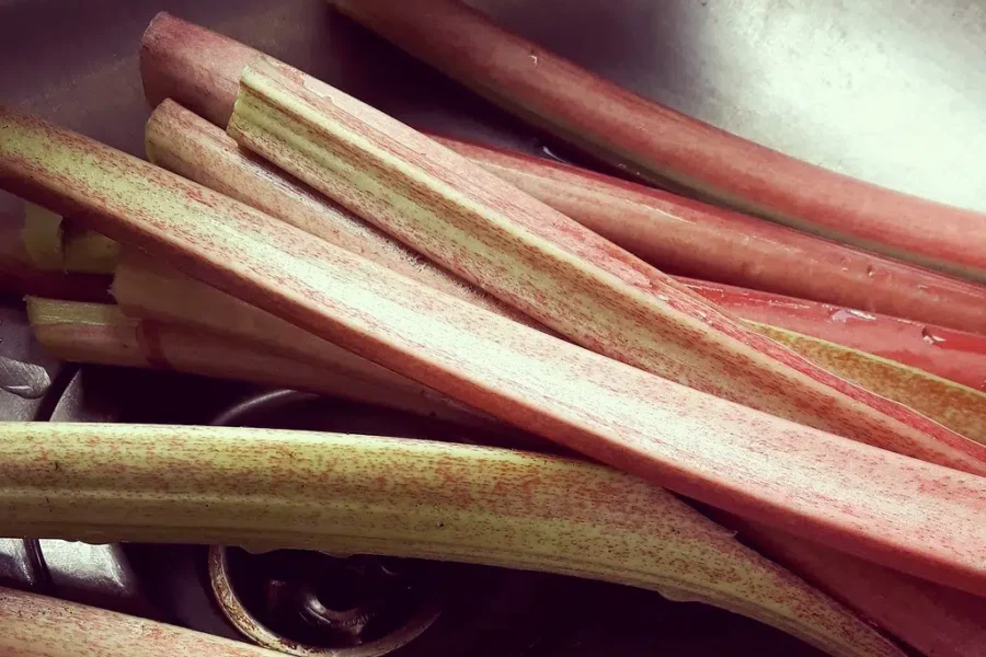 My Salute To The Fruit That Is Actually A Vegetable – Rhubarb