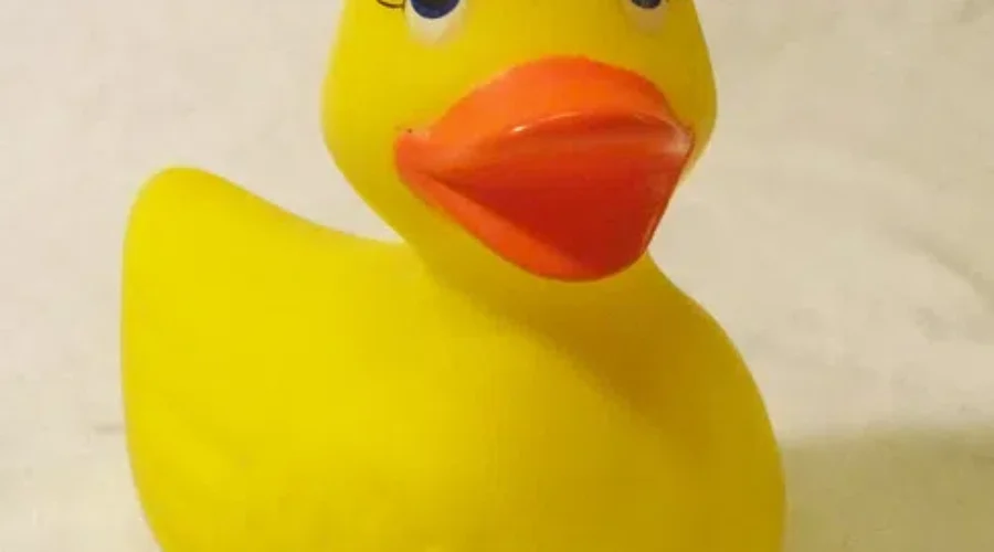 WATCH: Kacey Musgraves Makes “Rubber Ducky” A Hit!