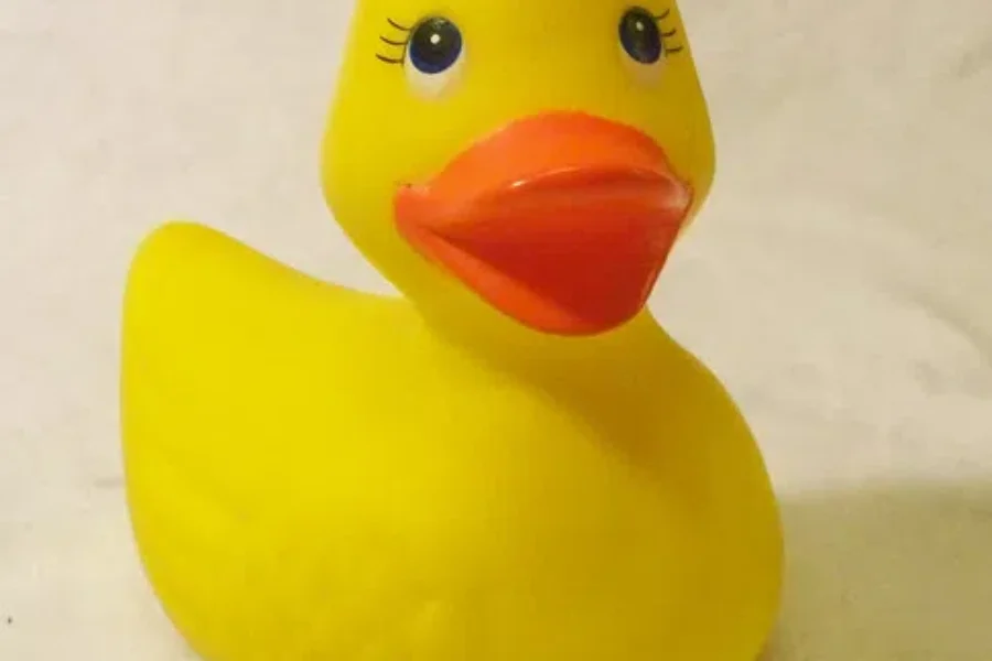 WATCH: Kacey Musgraves Makes “Rubber Ducky” A Hit!