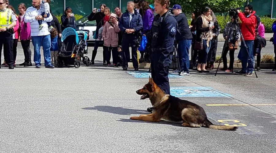 Royal Canadian Mounted Police – Name The Puppy Contest