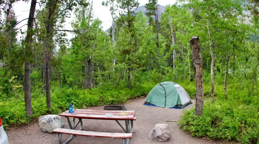 Mark Your Calendars!! Nova Scotia Provincial Park Reservations Are Opening Soon