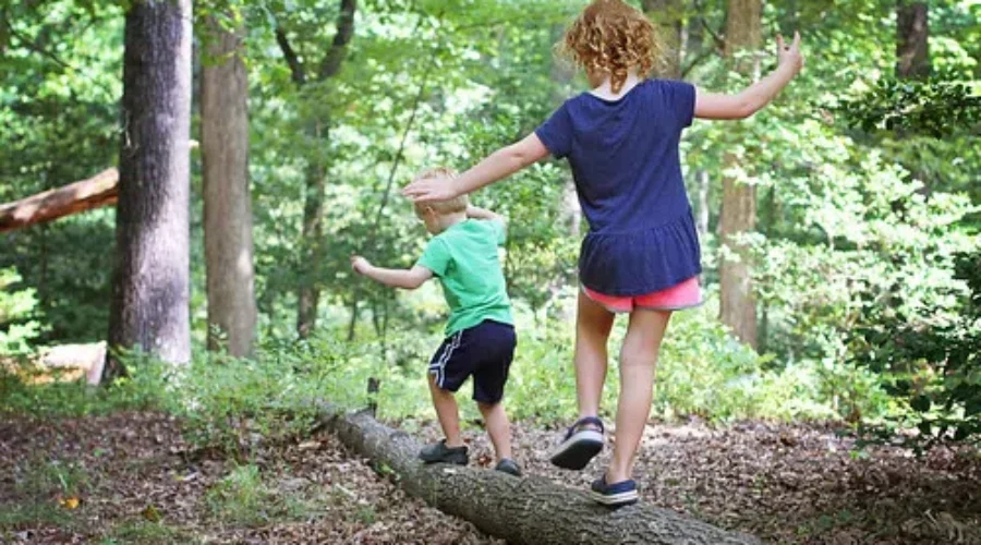 Heritage At Home Kit Program Is Fun For The Whole Family, All Thanks To The DesBrisay Museum And Wile Carding Mill Museum