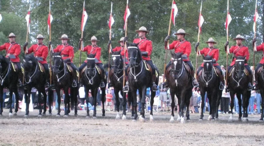 The RCMP name the Foal contest is Back!!