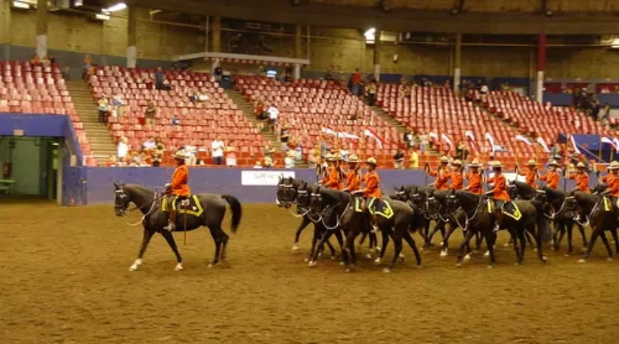 New RCMP Horses Honor NS Shooting Victims.