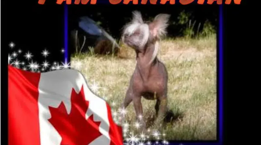 What Does “Canadian” Mean To You?