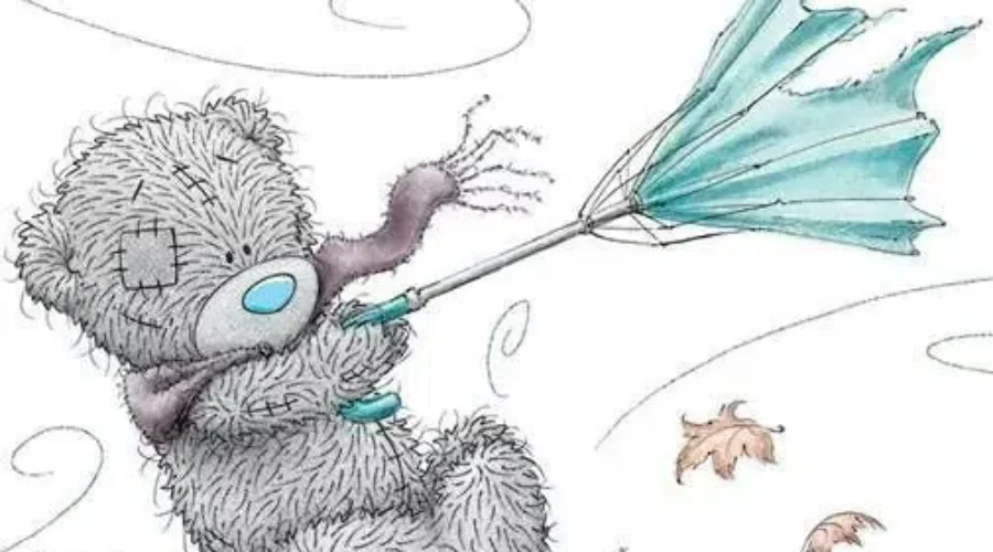 Today’s The Day Hurricane Teddy Comes By