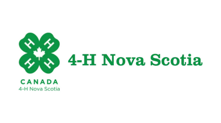 Everything you need to know about 4-H
