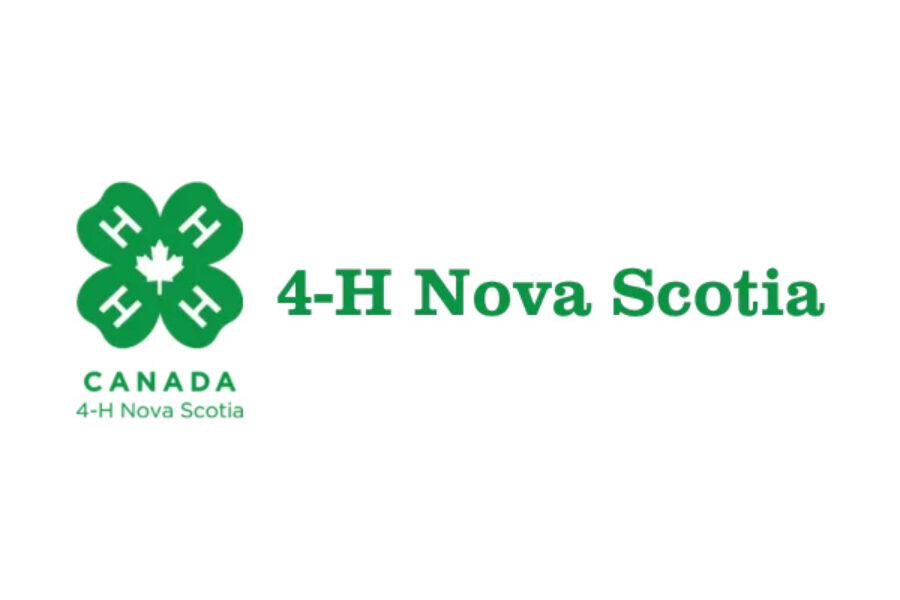 Everything you need to know about 4-H