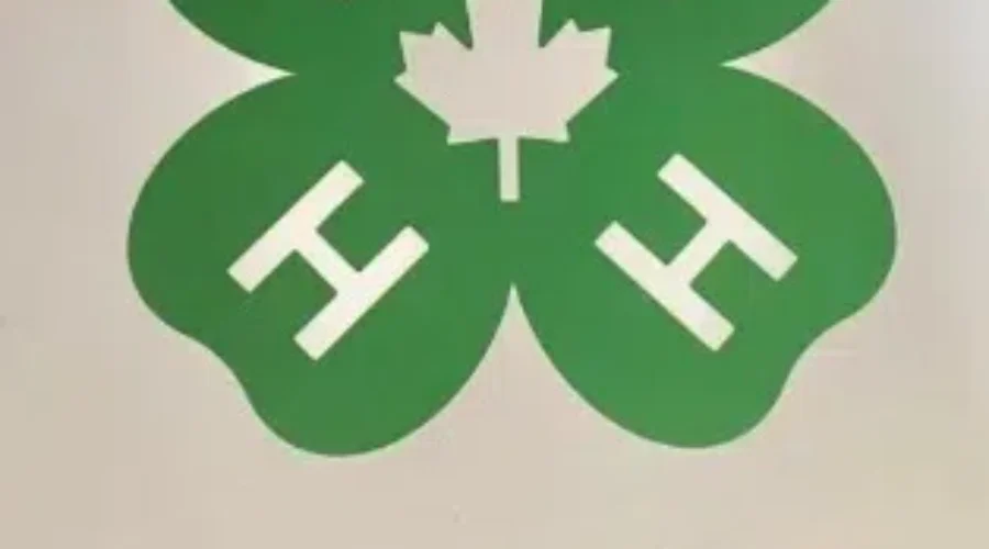 The NS 4-H Provincial Show Comes To Bridgewater