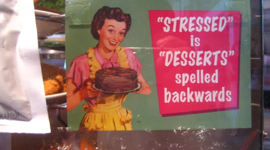 Giant Cats AND Bulls Soccer – Changing Stress To SMILE.