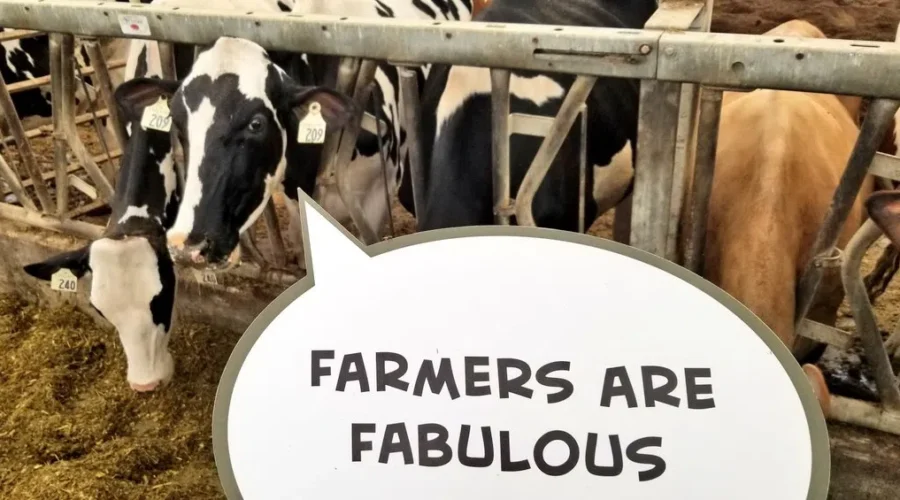 Our Farmers Open Their Barn Doors This Sunday!