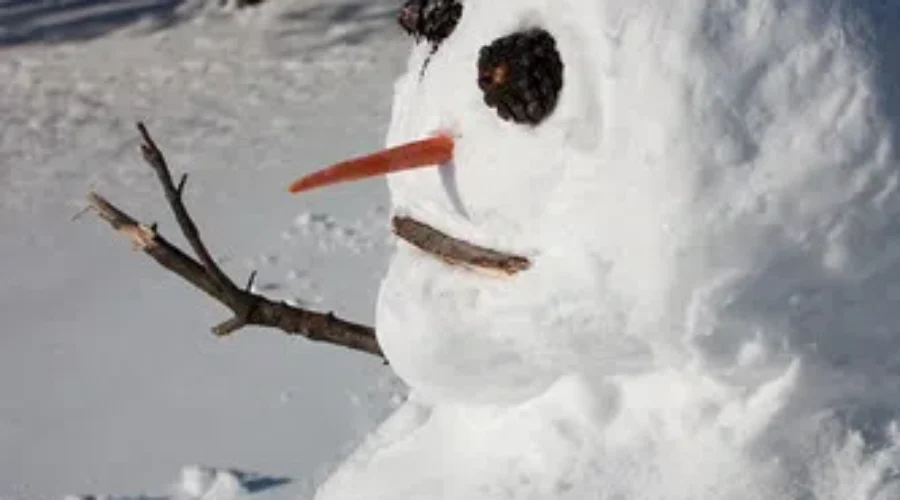 Do You Want To Build A Snow Man? Contest Time!!!