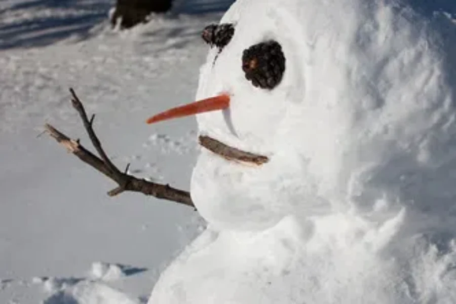 Do You Want To Build A Snow Man? Contest Time!!!