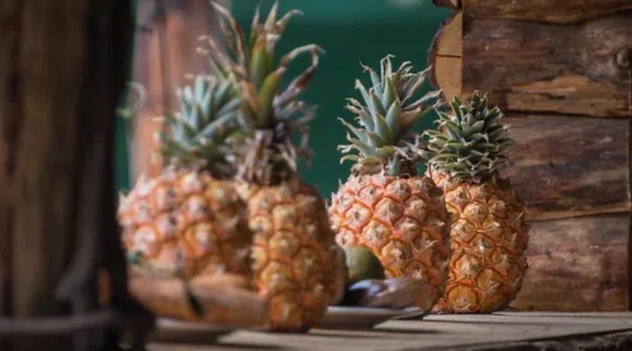 Grow Your Own Pineapples!!