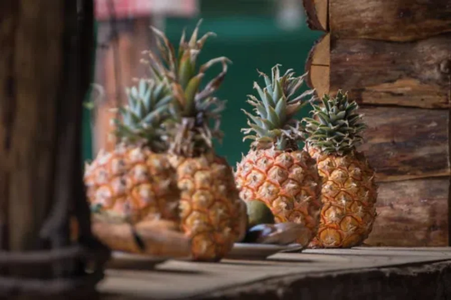 Grow Your Own Pineapples!!