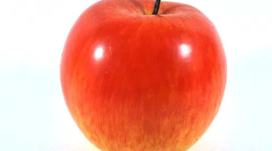 It’s National Teachers’ Day!!! Here’s A Shout Out To Our South Shore Teachers’!!!