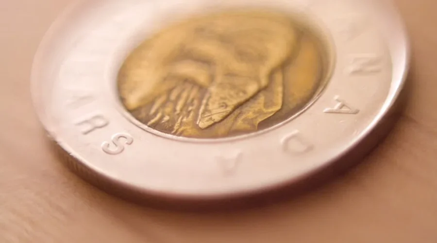 Check your change! Fake Toonies are circulating in Canada