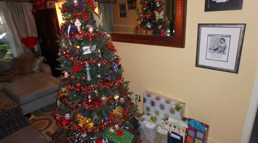 WATCH: “Twas The Night Before Christmas” 2020 version!