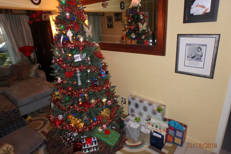 WATCH: “Twas The Night Before Christmas” 2020 version!