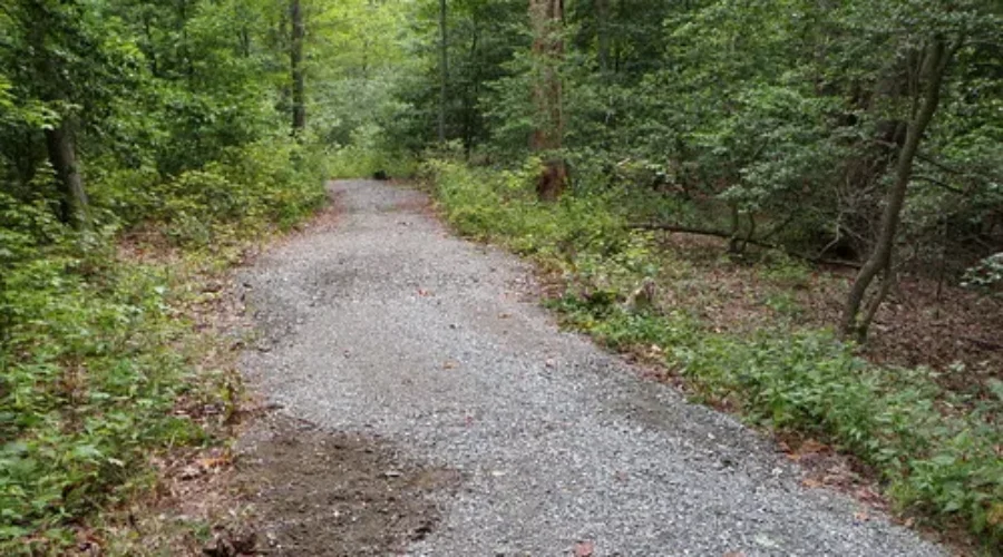 Explore Bridgewater Scavenger Hunt!! Keep Your Eyes Peeled and Here’s All The Details!!