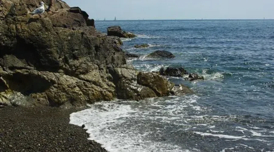 Happy #WorldOceansDay!! Shocking Facts That We Need To Change.