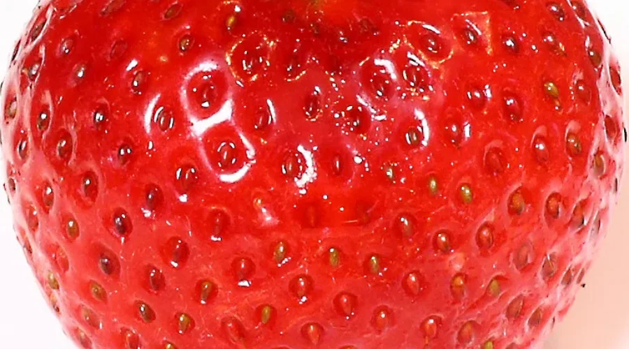 Tis The Season For One Of The Most Loved Berries, STRAWBERRIES