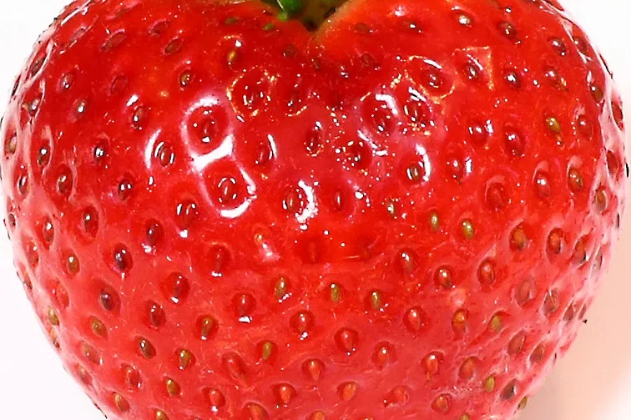 Tis The Season For One Of The Most Loved Berries, STRAWBERRIES