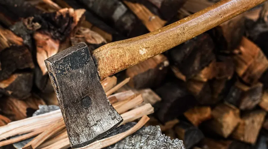 Check Before You Move Wood Across County Lines!!