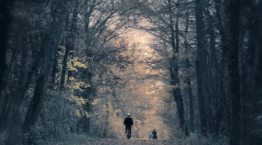 Hiking Tips And Trails